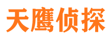 共和侦探公司